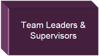 Team Leaders and Supervisors